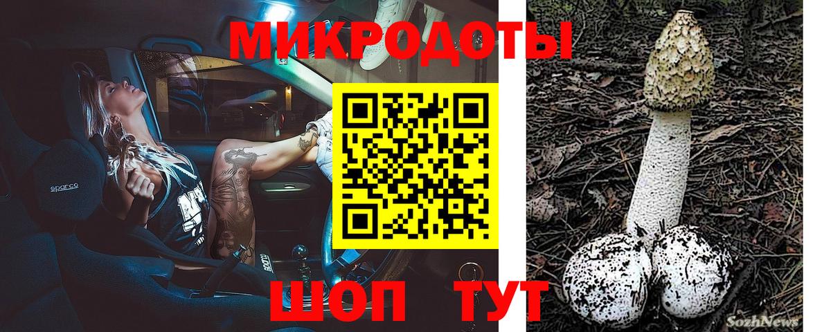Галлюциногенные грибы Magic Shrooms  Вход с VPN  Ковров 